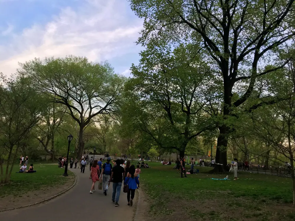 central park em nova york