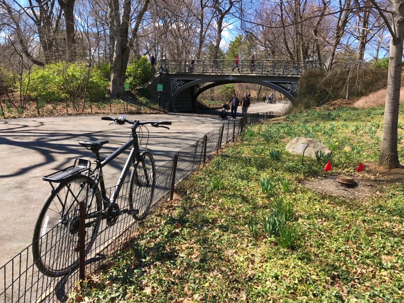 central park em nova york