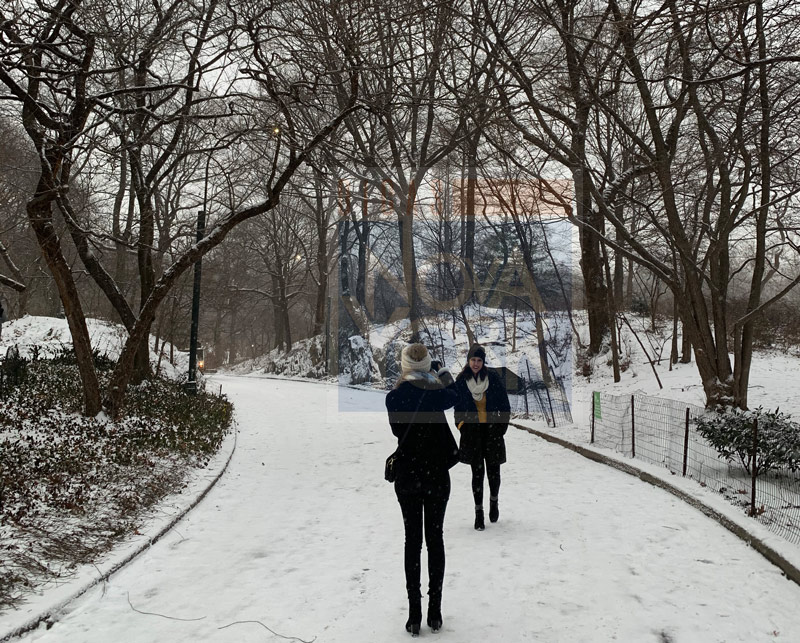 nova york em janeiro