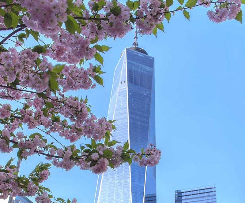 Observatórios em Nova York | Dicas Nova York