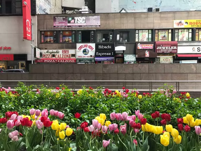 nova york em abril