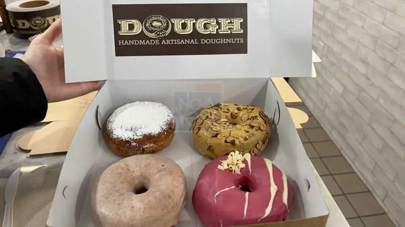 dough doughnuts