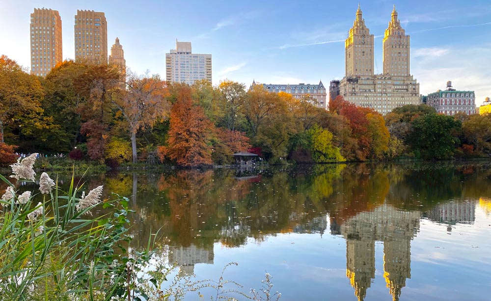 hotéis perto do central park