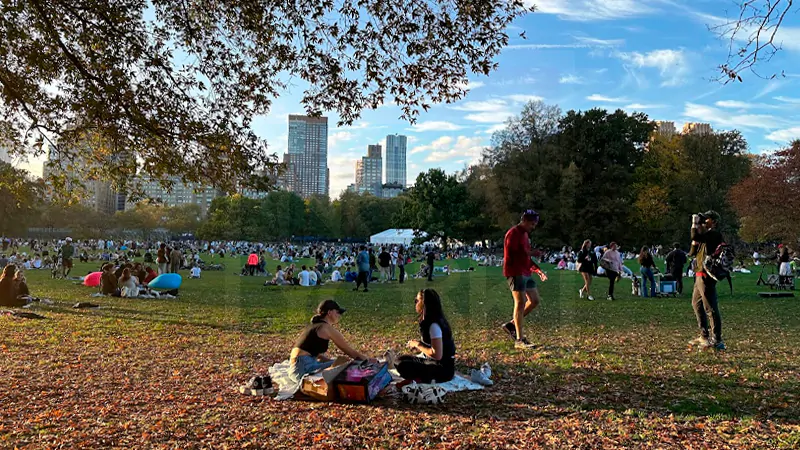 O clima de Nova York em Novembro: Pessoas sentadas em um gramadão tomando sol