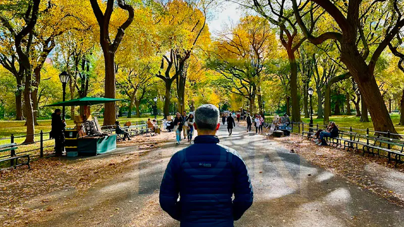 Fábio na frente da foto de costas olhando o central park em outubro