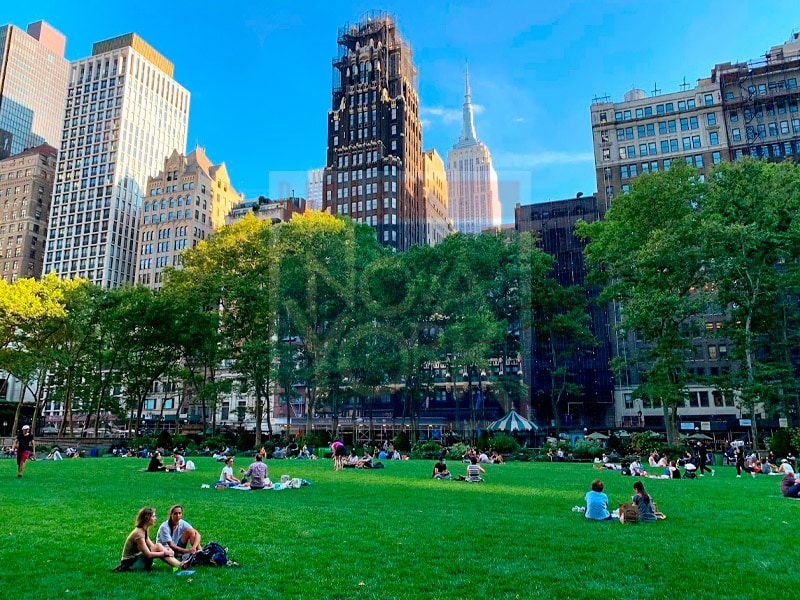 Hotéis 5 Estrelas em Nova York - 13 Opções de Onde Ficar | Dicas Nova York