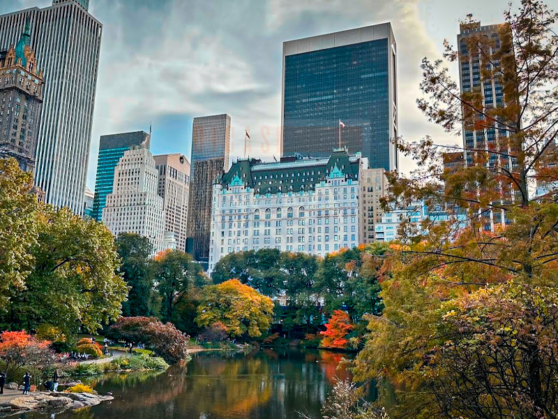 Hotéis 5 Estrelas em Nova York - 13 Opções de Onde Ficar | Dicas Nova York