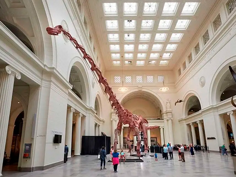 Museu Field de História Natural