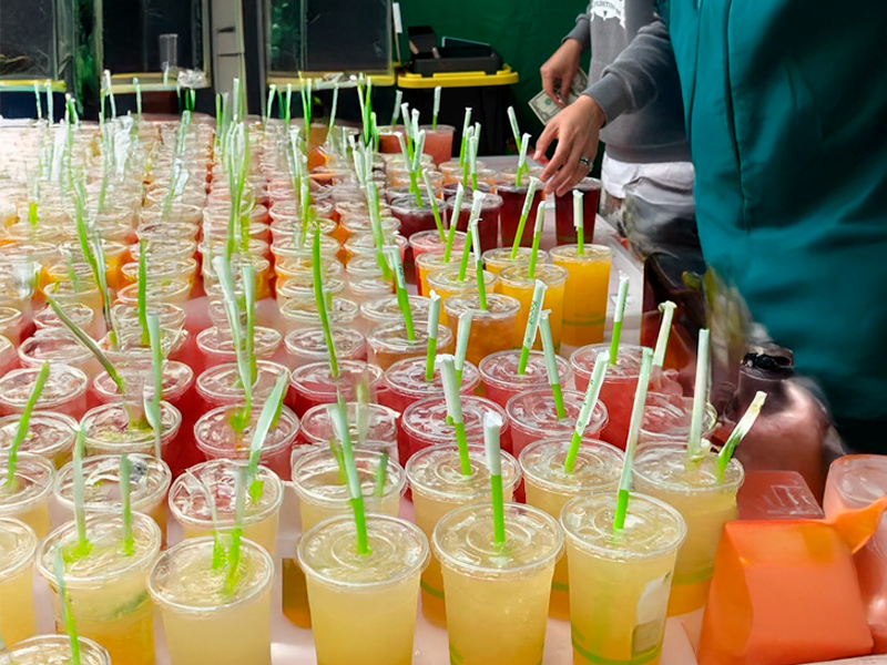 Smorgasburg em Nova York